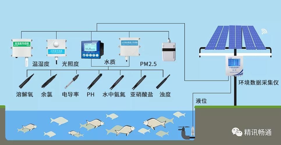如何預防魚生病？（水產養殖防病秘籍）