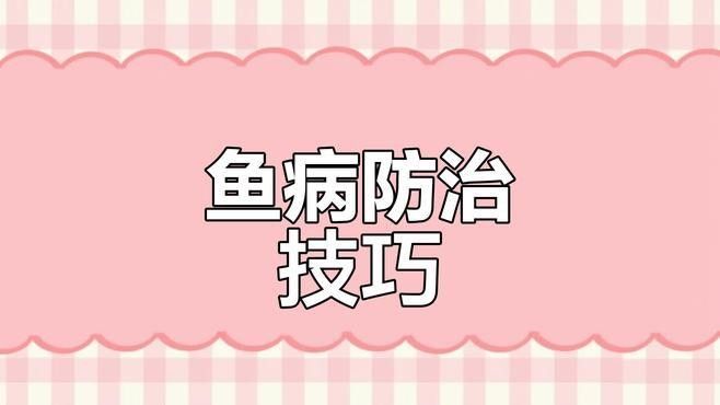 如何預防魚生病？（水產養殖防病秘籍）