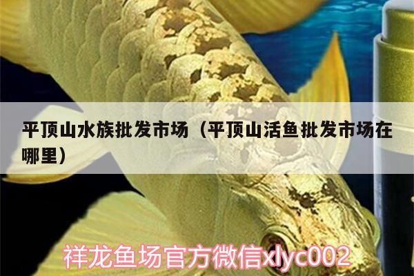 魚缸用增氧泵價格是多少:魚缸增氧機-xtrac增氧機-xtrac增氧機 平頂山水族批發市場(平頂山活魚批發市場在哪里) 觀賞魚百科 平頂山水族批發市場(平頂山活魚批發市場在哪里) 平頂山水族批發市場(平頂山活魚批發市場在哪里) 觀賞魚百科