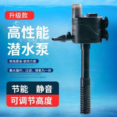 桂林龍魚批發(fā)市場（桂林龍魚批發(fā)市場在哪里）