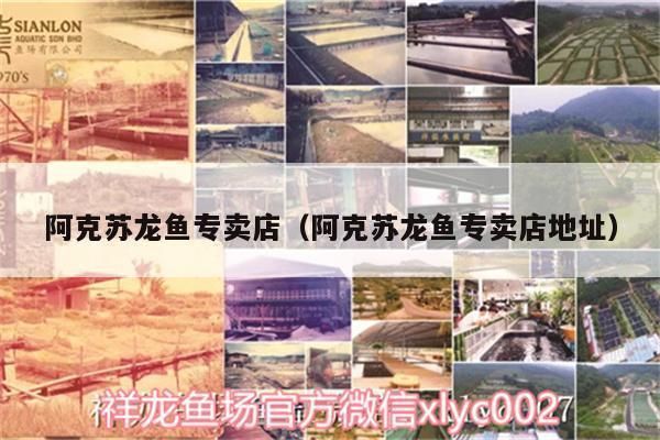 土右旗哪里賣龍魚:包頭市土右旗龍躍觀賞魚門店 觀賞魚百科 第1張 土右旗哪里賣龍魚:包頭市土右旗龍躍觀賞魚門店 土右旗哪里賣龍魚:包頭市土右旗龍躍觀賞魚門店 觀賞魚百科 第1張