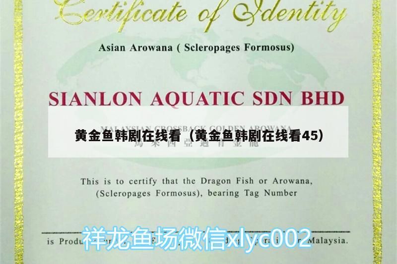 魚缸過濾器選購指南:自制魚缸過濾器魚缸上置過濾器對于養魚愛好者的必備知識 黃金魚韓劇在線看(黃金魚韓劇在線看45) 觀賞魚百科 黃金魚韓劇在線看(黃金魚韓劇在線看45) 黃金魚韓劇在線看(黃金魚韓劇在線看45) 觀賞魚百科