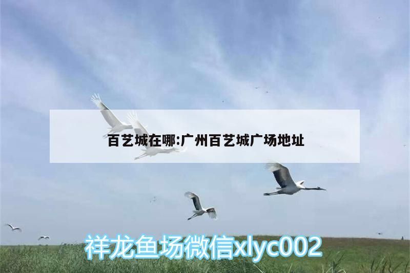 百藝城在哪:廣州百藝城廣場地址