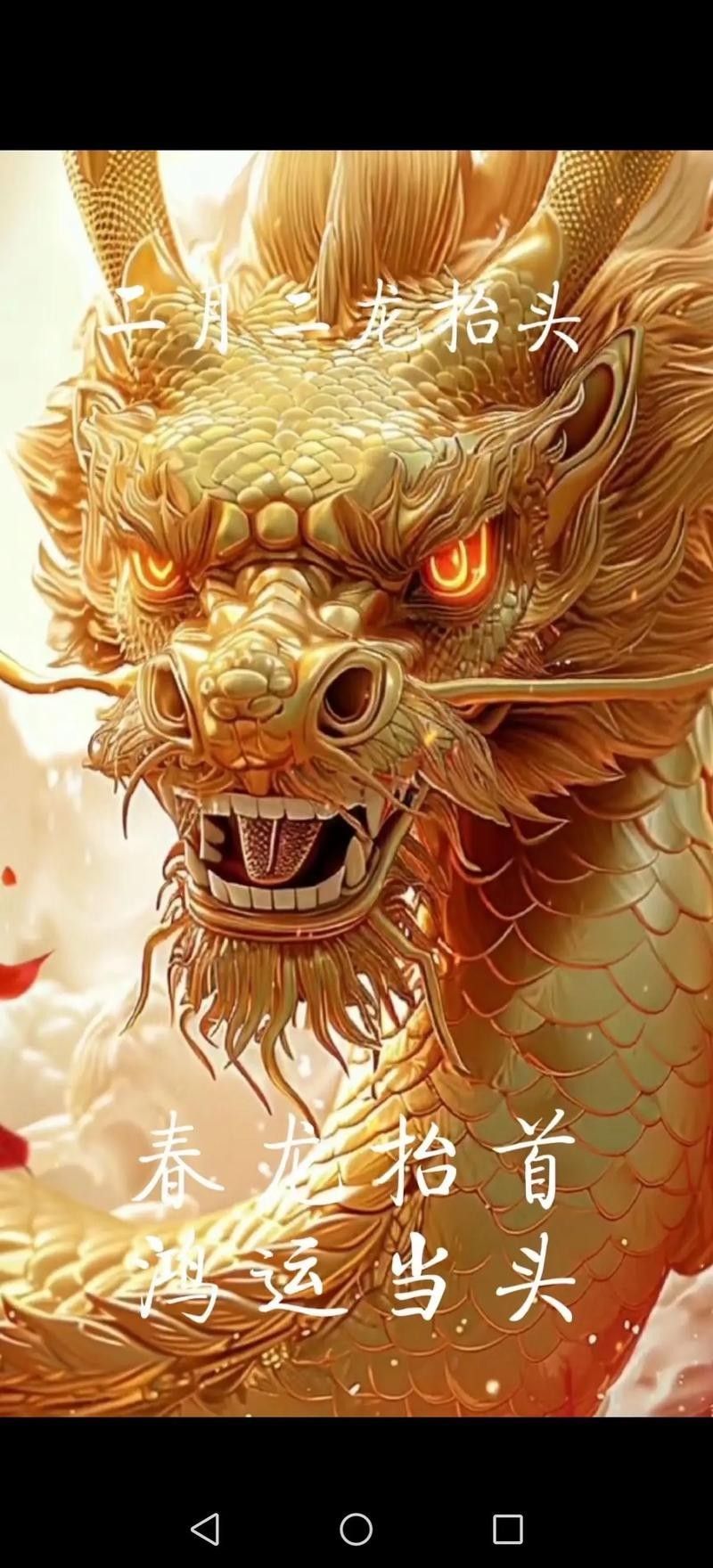 給我一些龍魚缸壁紙的圖片（魚缸壁紙通常指的是那些用于裝飾室內或室外龍魚缸的壁紙） 給我一些龍魚缸壁紙的圖片（魚缸壁紙通常指的是那些用于裝飾室內或室外龍魚缸的壁紙） 龍魚百科 第21張