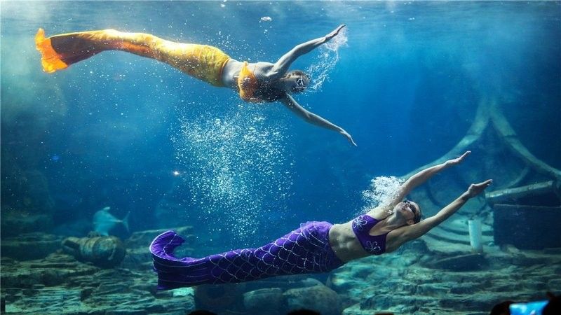 姜堰區還有哪些水族店？（泰州市姜堰區水族店）