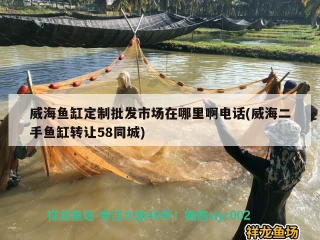 <strong><mark>威海</mark></strong>魚缸定制批發(fā)市場在哪里啊電話(<strong><mark>威海</mark></strong>二手魚缸轉(zhuǎn)讓58同城)（<strong><mark>威海</mark></strong>魚缸定制批發(fā)市場在哪里）