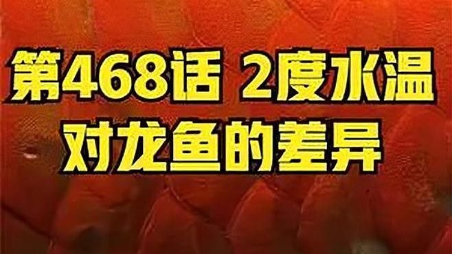 龍魚水溫多久調整一次（龍魚養殖水溫是多少度養還是30度養還是30度養糯團團）