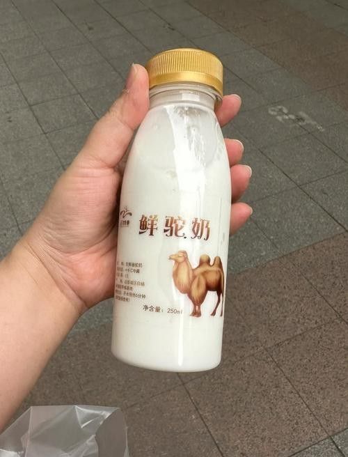 新疆明珠系列還有其他產品嗎？（新疆明珠系列產品）