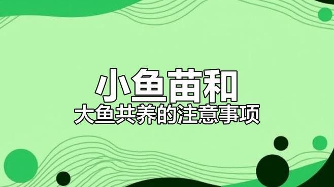 幼魚何時可以與親魚混養？（幼魚與親魚混養的時間）