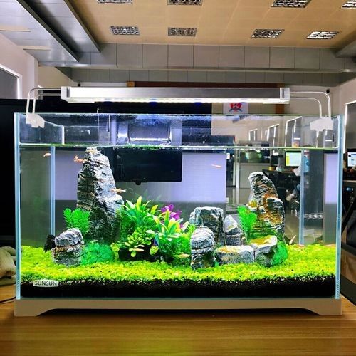 哪個(gè)品牌的魚(yú)缸造景性價(jià)比最高（魚(yú)缸造景品牌性價(jià)比的綜合分析） 哪個(gè)品牌的魚(yú)缸造景性價(jià)比最高（魚(yú)缸造景品牌性價(jià)比的綜合分析） 龍魚(yú)百科 第2張