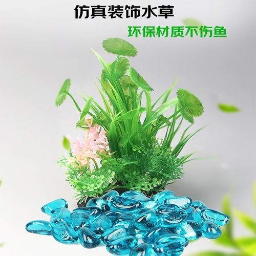 哪個(gè)品牌的魚(yú)缸造景性價(jià)比最高（魚(yú)缸造景品牌性價(jià)比的綜合分析） 哪個(gè)品牌的魚(yú)缸造景性價(jià)比最高（魚(yú)缸造景品牌性價(jià)比的綜合分析） 龍魚(yú)百科 第8張
