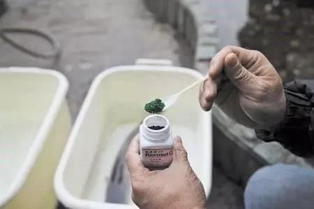 孔雀石綠溶液對龍魚安全嗎（孔雀石綠泡過的龍魚能養嗎）