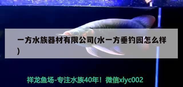 一方水族器材有限公司(水一方垂釣園怎么樣)（一方水族器材有限公司）