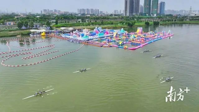 清遠哪個水族館龍魚好？祥龍魚場龍魚 清遠哪個水族館龍魚好？祥龍魚場龍魚 龍魚百科 第6張