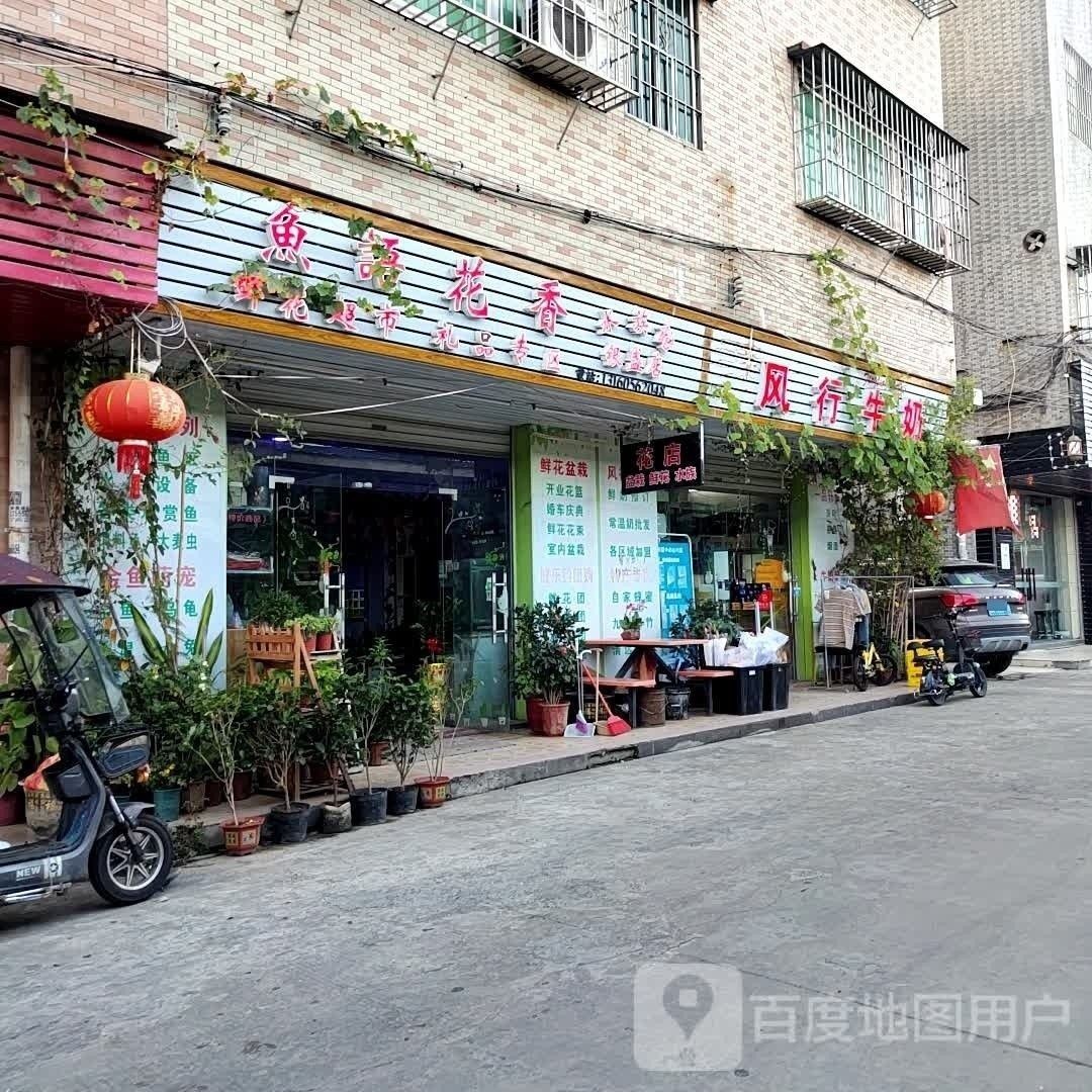 清遠哪個水族館龍魚好？祥龍魚場龍魚 清遠哪個水族館龍魚好？祥龍魚場龍魚 龍魚百科 第8張