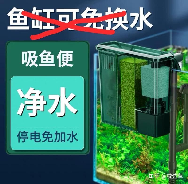 匯龍魚缸過濾系統多久換一次水？（匯龍魚缸過濾系統換水頻率需綜合以下因素決定）