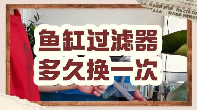 匯龍魚缸過濾系統多久換一次水？（匯龍魚缸過濾系統換水頻率需綜合以下因素決定）
