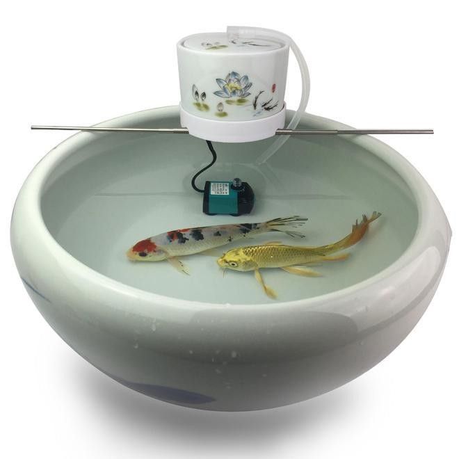 匯龍魚缸過濾系統多久換一次水？（匯龍魚缸過濾系統換水頻率需綜合以下因素決定）