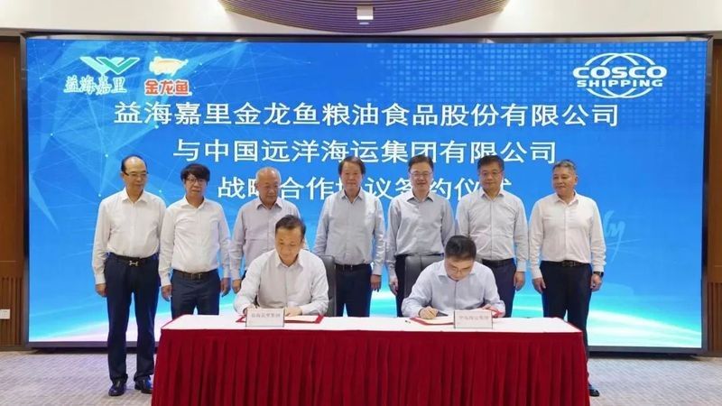 金龍魚米業未來有哪些重要的合作伙伴