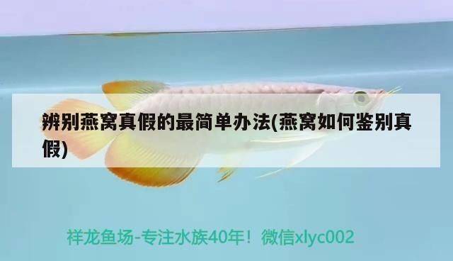 辨別燕窩真假的最簡單辦法(燕窩如何鑒別真假)（如何辨別燕窩的真假） 辨別燕窩真假的最簡單辦法(燕窩如何鑒別真假)（如何辨別燕窩的真假） 觀賞魚百科