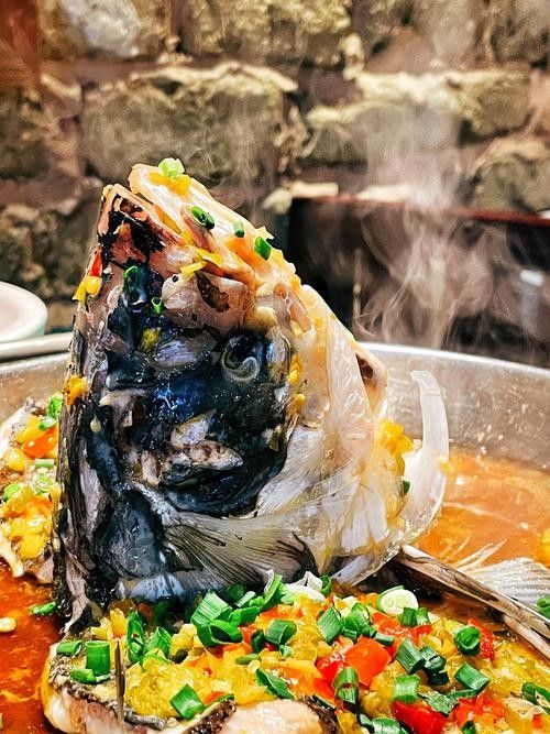 婁底九龍魚頭店的評價如何（婁底九龍魚頭店怎么樣）