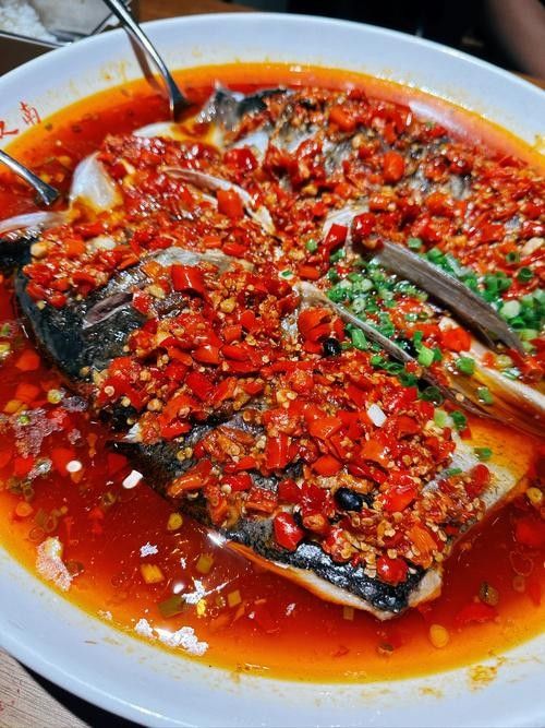 婁底九龍魚頭店的評價如何（婁底九龍魚頭店怎么樣）