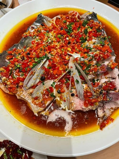 婁底九龍魚頭店的評價如何（婁底九龍魚頭店怎么樣）