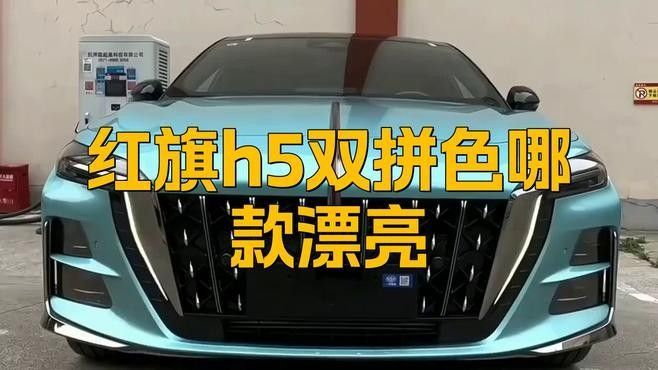 能否提供更多紅龍旗配色方案？ 能否提供更多紅龍旗配色方案？ 龍魚百科 第27張