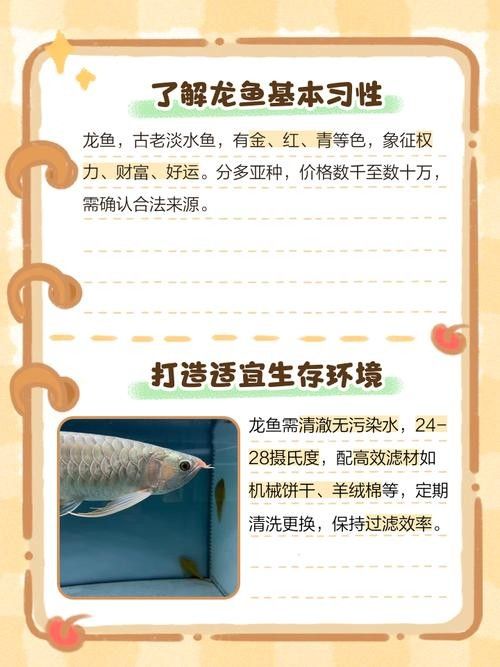 龍魚死亡后如何避免心理暗示 龍魚死亡后如何避免心理暗示 龍魚百科 第8張