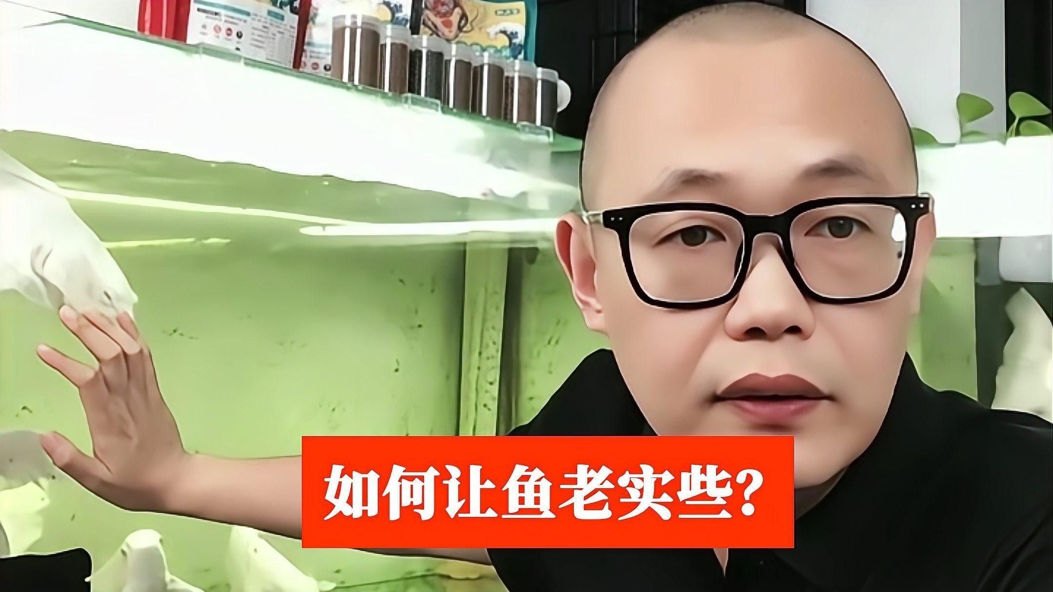 龍魚麻藥有哪些副作用 龍魚麻藥有哪些副作用 龍魚百科 第2張
