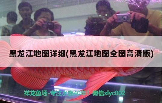 黑龍江地圖詳細(xì)(黑龍江地圖全圖高清版)