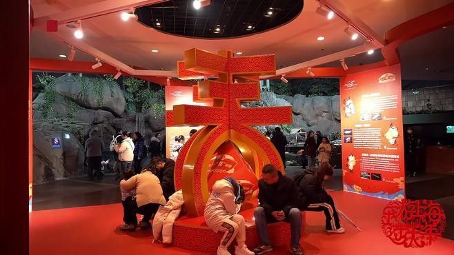 崇安哪個水族館龍魚好？祥龍魚場龍魚