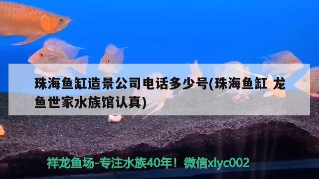 我的虎魚(yú)真菌感染了要怎么處理 珠海魚(yú)缸造景公司電話多少號(hào)(珠海魚(yú)缸龍魚(yú)世家水族館認(rèn)真)(珠海魚(yú)缸造景公司) 觀賞魚(yú)百科 珠海魚(yú)缸造景公司電話多少號(hào)(珠海魚(yú)缸龍魚(yú)世家水族館認(rèn)真)(珠海魚(yú)缸造景公司) 珠海魚(yú)缸造景公司電話多少號(hào)(珠海魚(yú)缸龍魚(yú)世家水族館認(rèn)真)(珠海魚(yú)缸造景公司) 觀賞魚(yú)百科