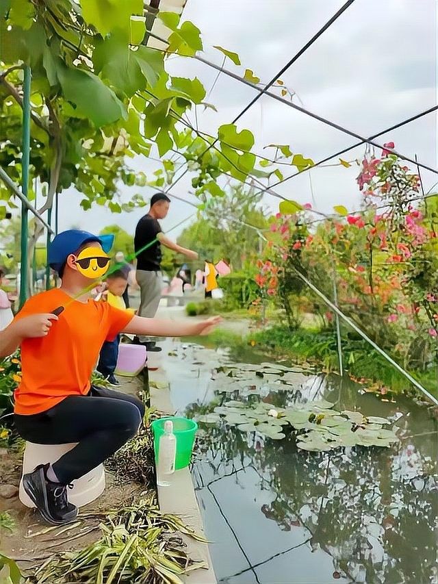成都龍魚閣有哪些產品？（成都龍魚閣水族寵物專業用品有限公司boss直聘聽）