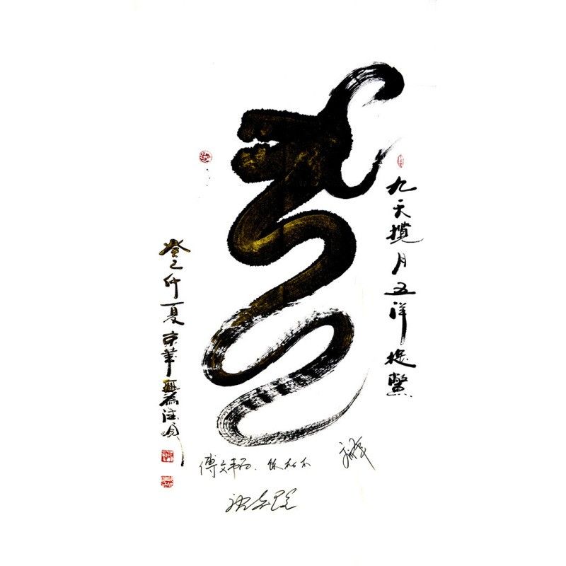龍族社會如何影響龍的成長？ 龍族社會如何影響龍的成長？ 龍魚百科 第5張