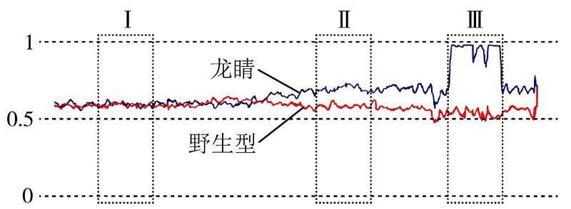 龍魚掉眼會遺傳嗎