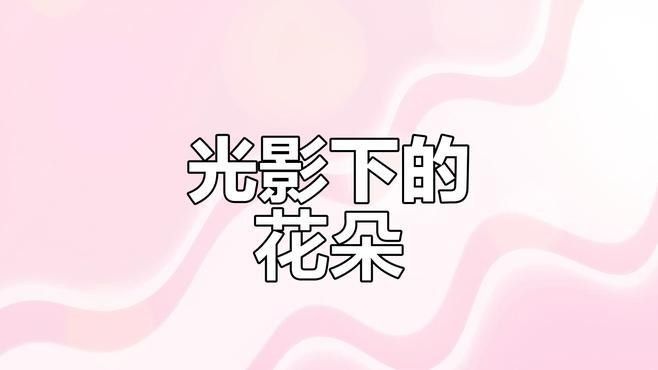 自然光輔助法適用于哪些場(chǎng)景？