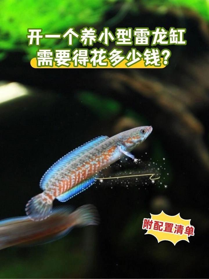 龍魚缸安裝費用大概是多少