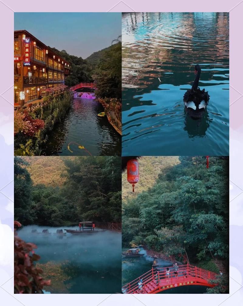 古龍魚莊的最佳游玩時間