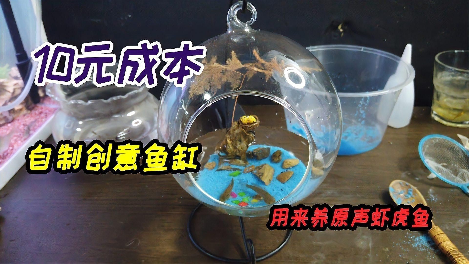 龍魚、虎魚和鳳魚的價格是多少（魚、虎魚和鳳魚的價格信息綜合整理）