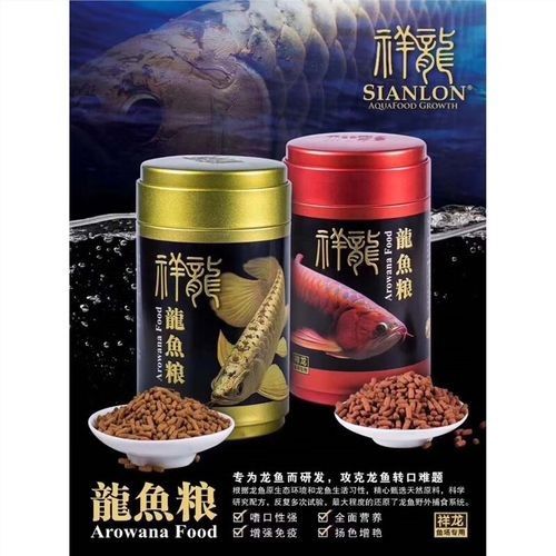 清徐哪個水族館龍魚好？祥龍魚場龍魚（徐縣的祥龍魚場以優質的龍魚品種和專業的養殖技術而聞名） 清徐哪個水族館龍魚好？祥龍魚場龍魚（徐縣的祥龍魚場以優質的龍魚品種和專業的養殖技術而聞名） 龍魚百科 第2張