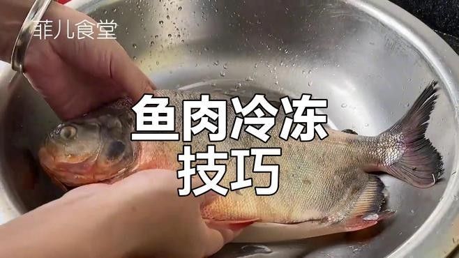 哪種方法最適合長期保存龍魚