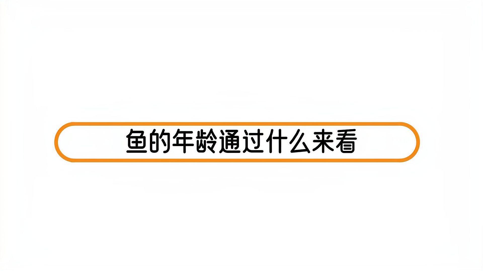 鱗片年輪分析法具體如何操作？ 鱗片年輪分析法具體如何操作？ 龍魚百科 第3張
