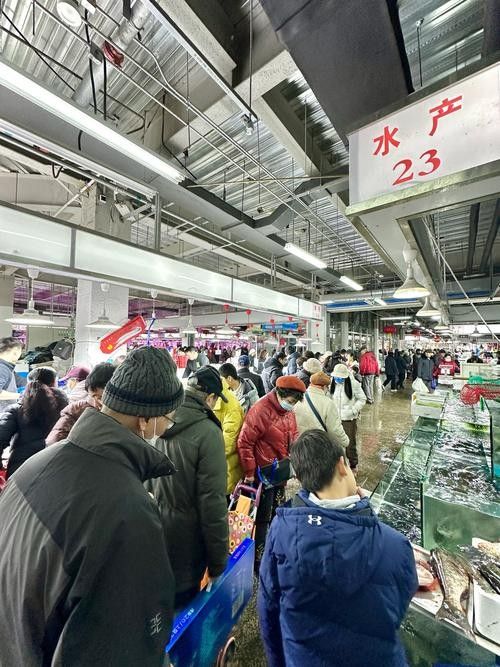 哪里可以買到新鮮的海底飛龍魚