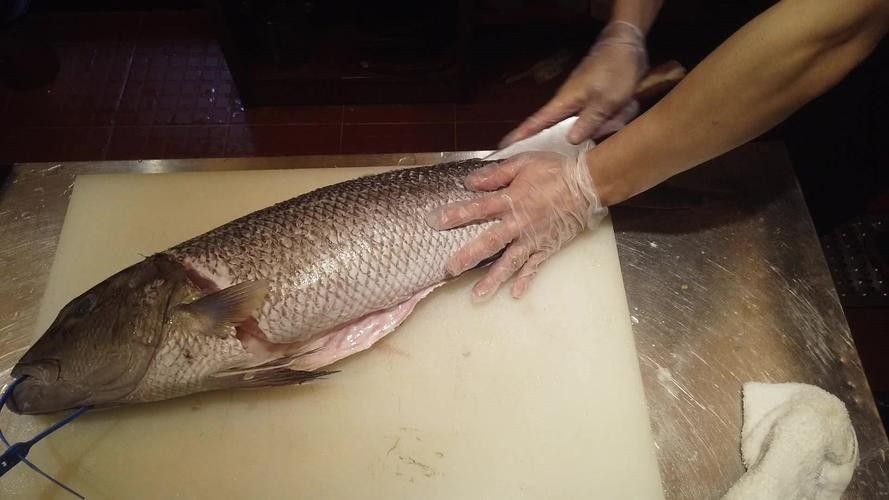 哪里可以買到新鮮的海底飛龍魚
