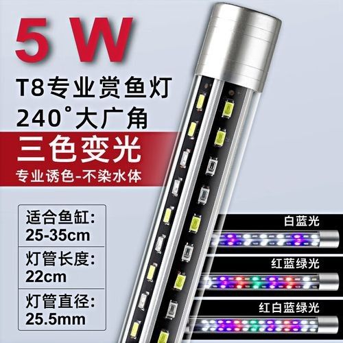 如何選擇適合龍魚的燈具？（—*龍魚燈光選擇全攻略） 如何選擇適合龍魚的燈具？（—*龍魚燈光選擇全攻略） 龍魚百科 第6張