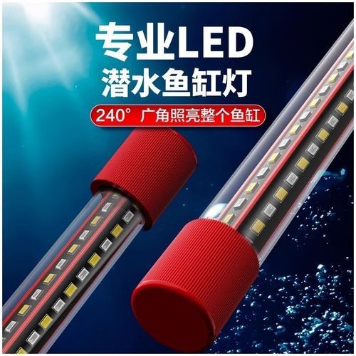 如何選擇適合龍魚的燈具？（—*龍魚燈光選擇全攻略） 如何選擇適合龍魚的燈具？（—*龍魚燈光選擇全攻略） 龍魚百科 第5張