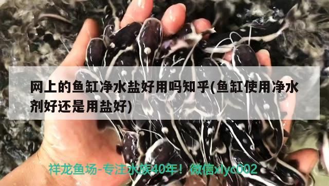 網(wǎng)上的魚缸凈水鹽好用嗎知乎(魚缸使用凈水劑好還是用鹽好)（網(wǎng)上的魚缸凈水鹽好用嗎知乎）