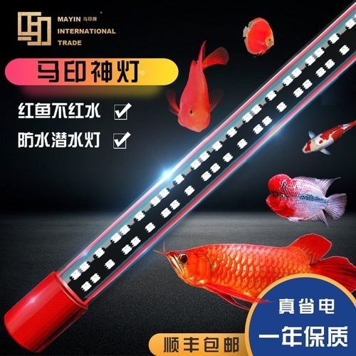 有哪些品牌金龍魚燈推薦？（金龍魚金龍魚發(fā)色誘色燈）
