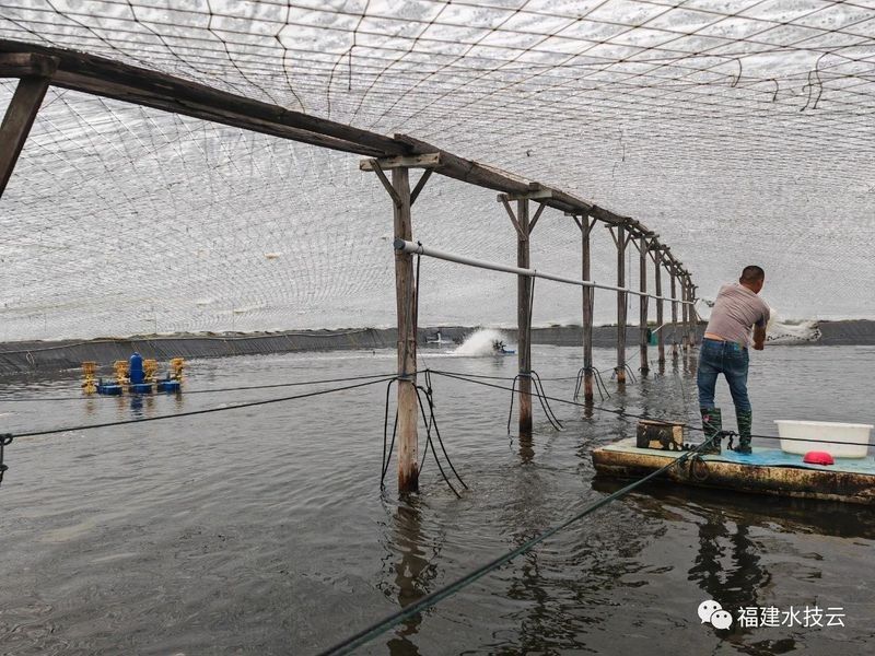 海龍魚飼料有哪些優(yōu)點（海龍魚飼料的優(yōu)勢）